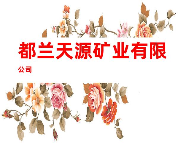 都兰天源矿业有限公司